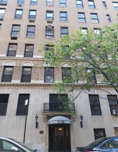 A tree in front of a multi-story building with a sign indicating "20 east 87 street".