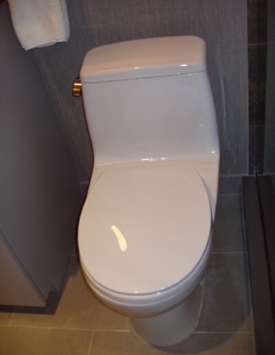 White ceramic toilet in a modern bathroom setting.