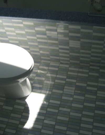 Bathroom interior with mosaic tile flooring showing a toilet and the play of natural light through a window.